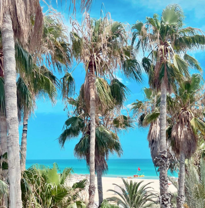 Regency Hammamet